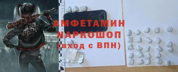 хмурый Алексин