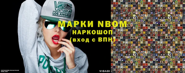 хмурый Алексин