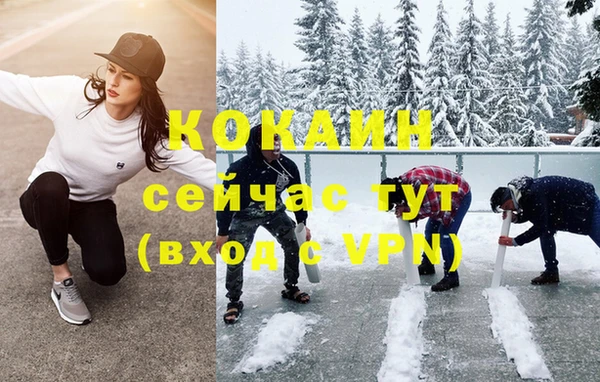 хмурый Алексин