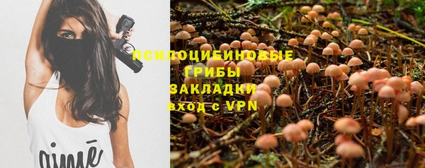 амф Алзамай
