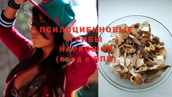 прущий лед Алексеевка
