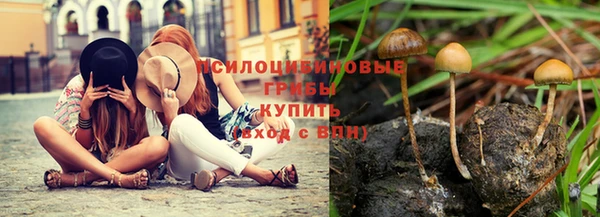 прущий лед Алексеевка