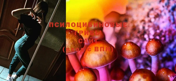 хмурый Алексин