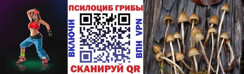 Псилоцибиновые грибы мицелий  Новоульяновск 